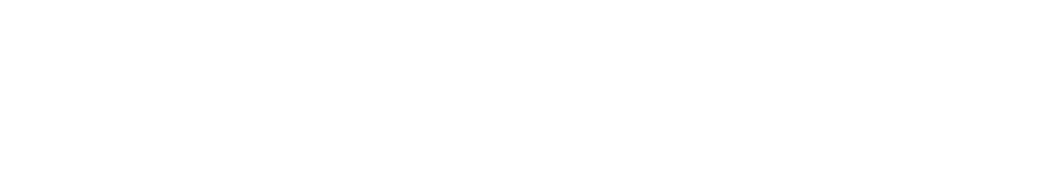 Mission vision & values logo.